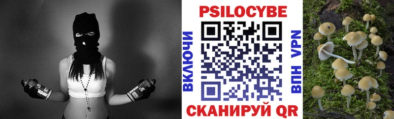 Галлюциногенные грибы Psilocybe  где продают   Наро-Фоминск 